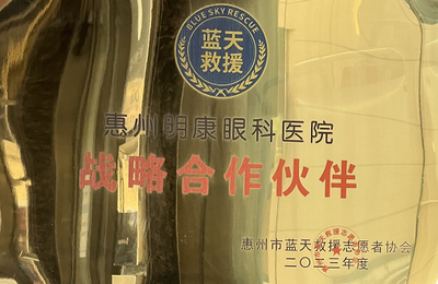 蓝天救援战略合作伙伴