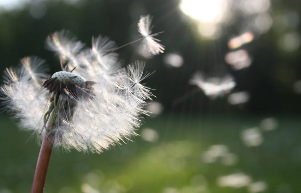 秋季眼病“刺客”来袭，这几种眼病已进入高发期