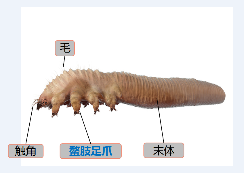 眼睛也可能会有螨虫！如果你也有这些症状，务必注意→