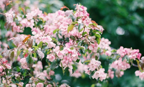 春季预警!这几种眼病已进入高发季!正确防护方法来了