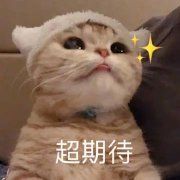 近视防控专家林小铭教授来明康眼科坐诊